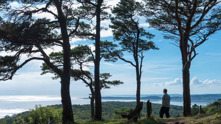 A visitor enjoying the view of Morecambe Bay at Arnside and Silverdale, Cumbria